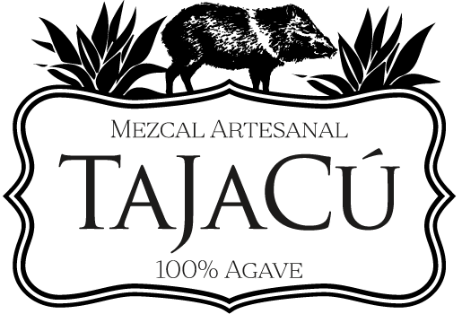 Tajacú